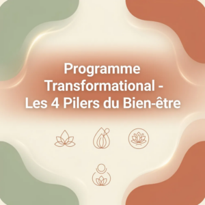 Programme Transformational - Les 4 Piliers du Bien-être
